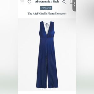 NWT The A&F Giselle Pleated Jumpsuit